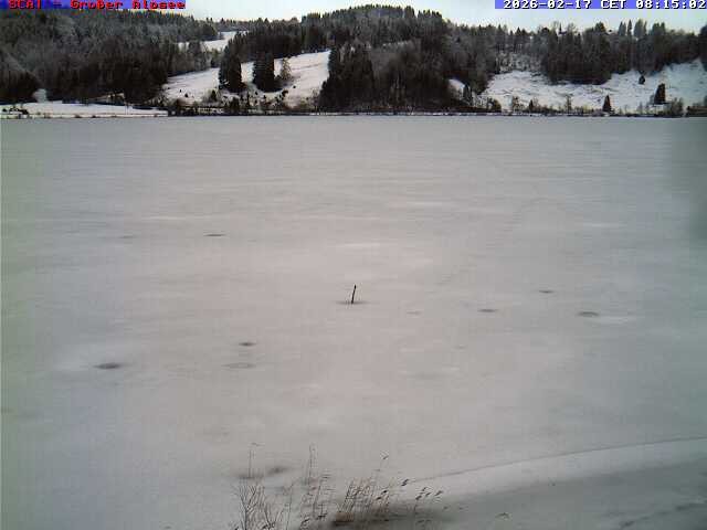 Archived image Webcam Lake "Großer Alpsee"