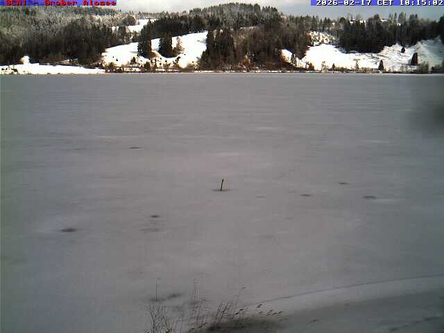 Archived image Webcam Lake "Großer Alpsee"