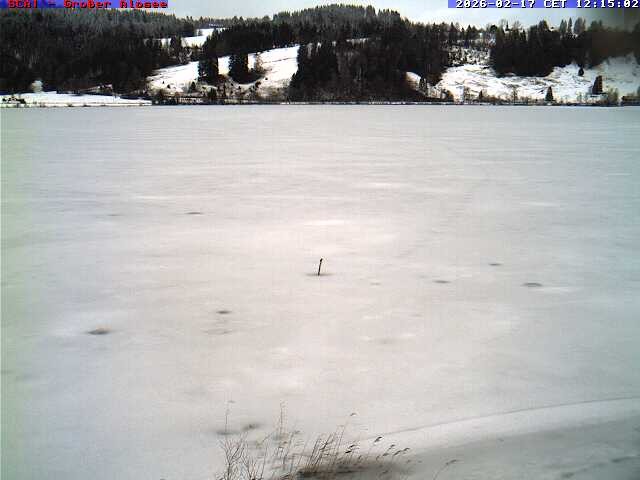 Archived image Webcam Lake "Großer Alpsee"
