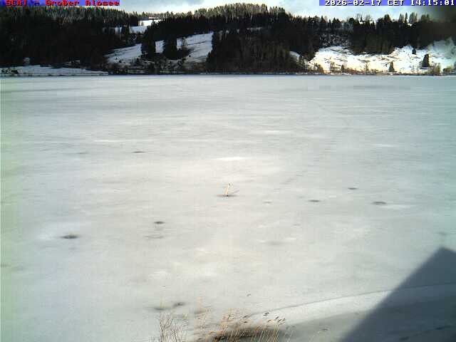 Archived image Webcam Lake "Großer Alpsee"