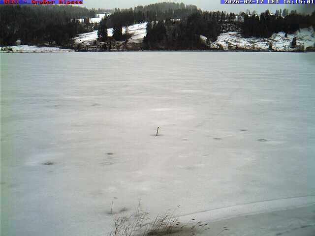 Archived image Webcam Lake "Großer Alpsee"