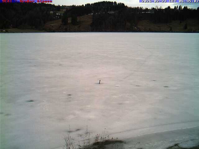 Archiv Foto Webcam Großer Alpsee bei Immenstadt