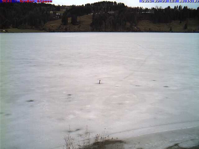 Archiv Foto Webcam Großer Alpsee bei Immenstadt