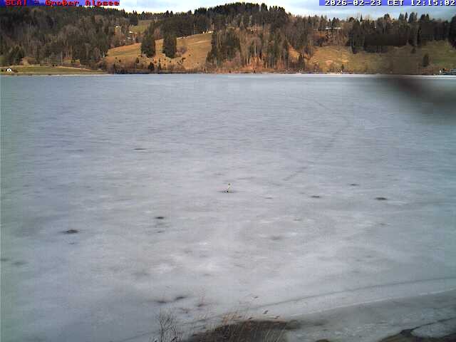 Archiv Foto Webcam Großer Alpsee bei Immenstadt