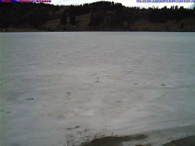 Archiv Foto Webcam Großer Alpsee bei Immenstadt