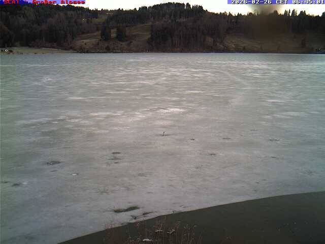 Archived image Webcam Lake "Großer Alpsee"