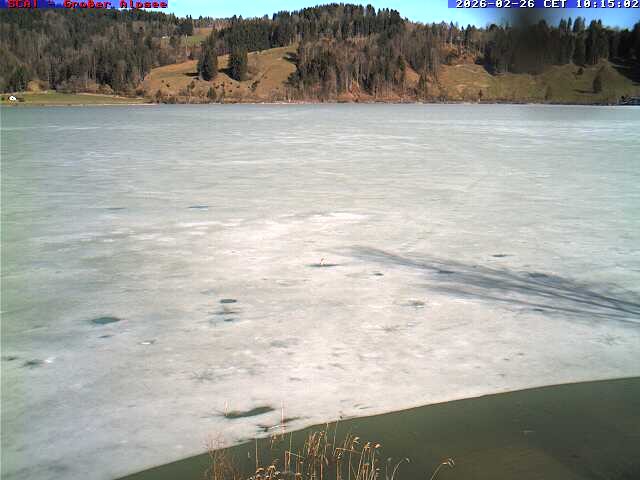 Archived image Webcam Lake "Großer Alpsee"