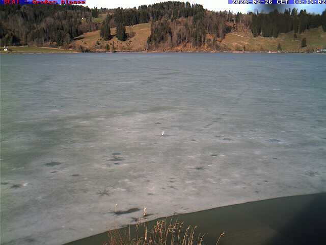 Archived image Webcam Lake "Großer Alpsee"