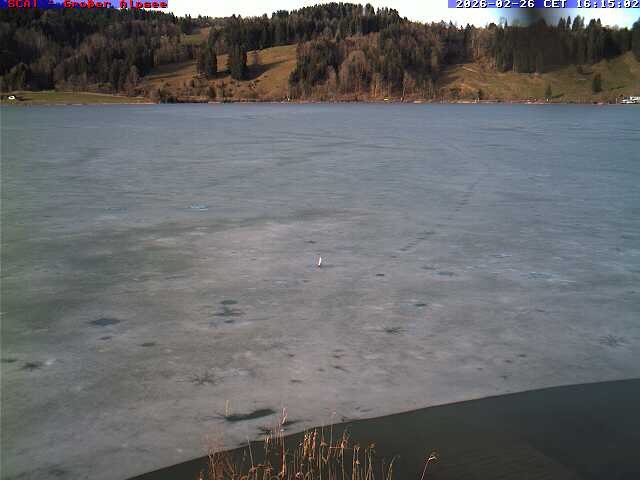 Archived image Webcam Lake "Großer Alpsee"