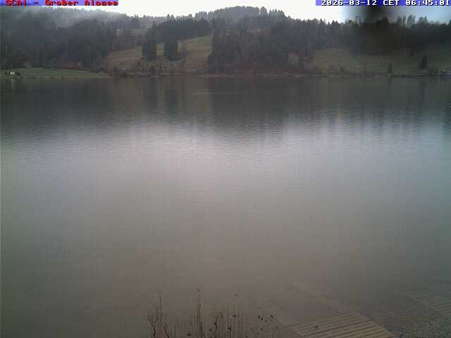 Archiv Foto Webcam Großer Alpsee bei Immenstadt