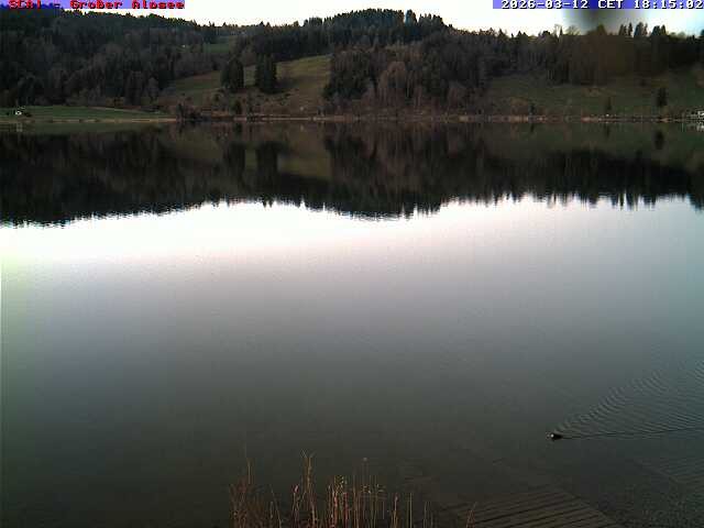 Archiv Foto Webcam Großer Alpsee bei Immenstadt