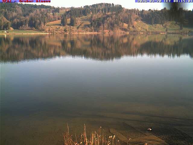 Archiv Foto Webcam Großer Alpsee bei Immenstadt