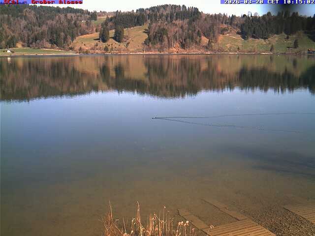 Archiv Foto Webcam Großer Alpsee bei Immenstadt