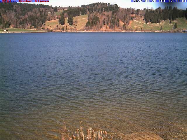 Archiv Foto Webcam Großer Alpsee bei Immenstadt