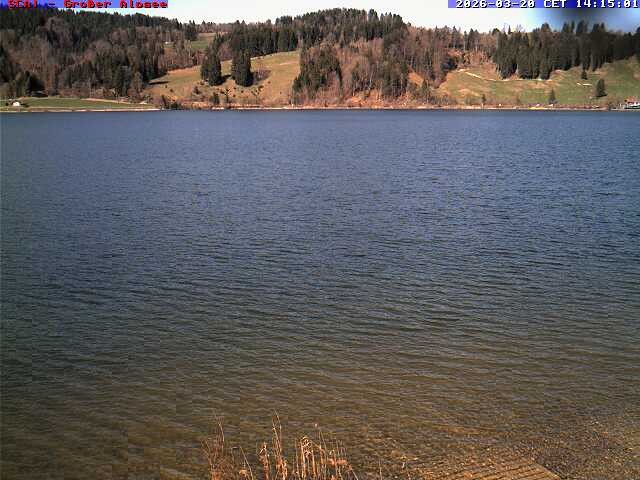 Archiv Foto Webcam Großer Alpsee bei Immenstadt
