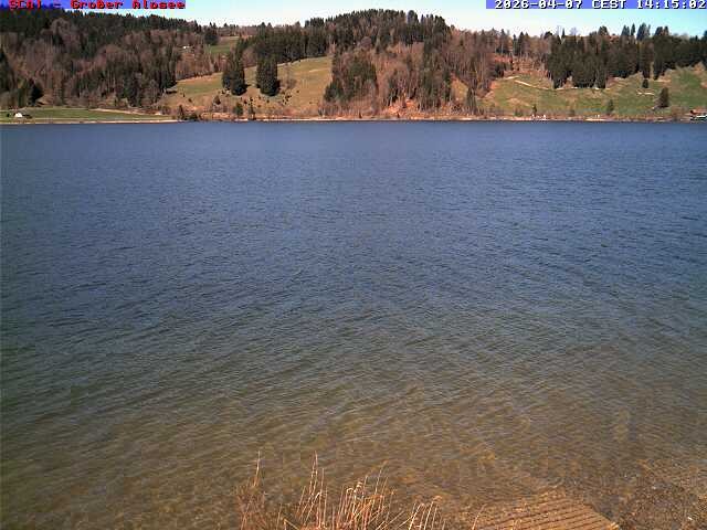 Archiv Foto Webcam Großer Alpsee bei Immenstadt