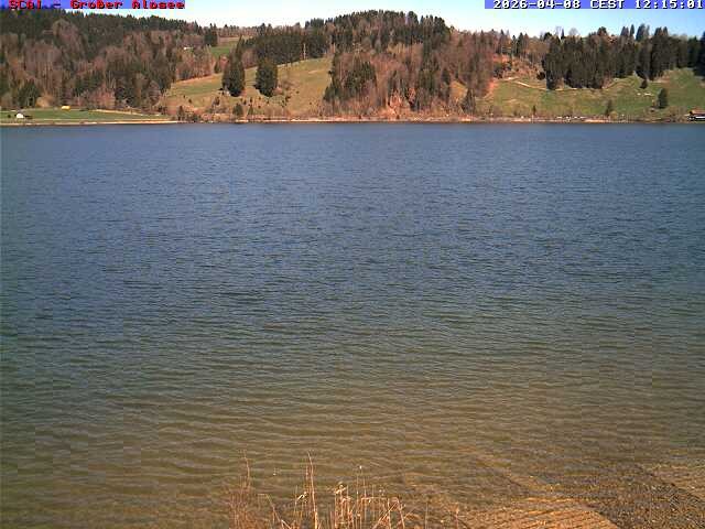 Archiv Foto Webcam Großer Alpsee bei Immenstadt