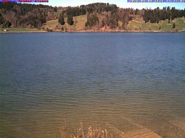 Archiv Foto Webcam Großer Alpsee bei Immenstadt