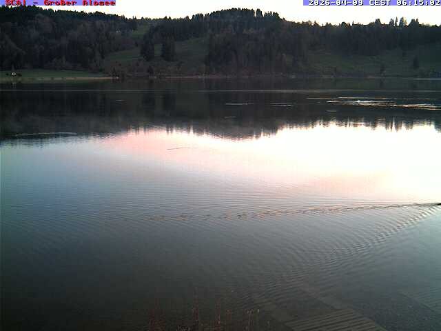 Archiv Foto Webcam Großer Alpsee bei Immenstadt