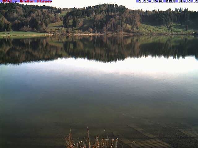 Archiv Foto Webcam Großer Alpsee bei Immenstadt