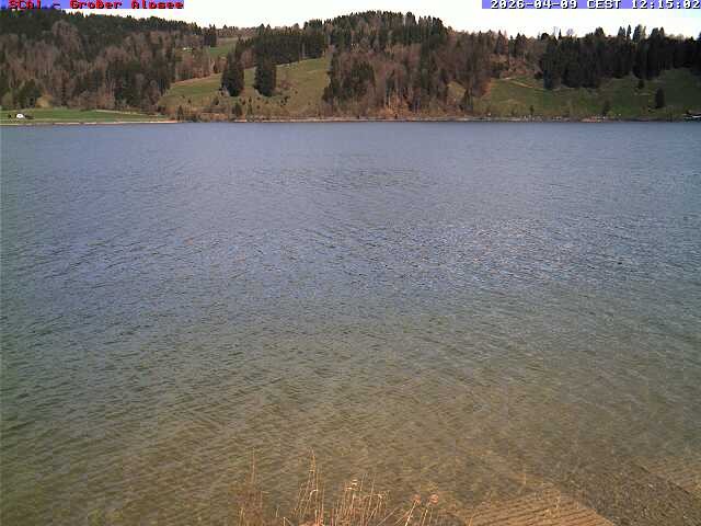 Archiv Foto Webcam Großer Alpsee bei Immenstadt