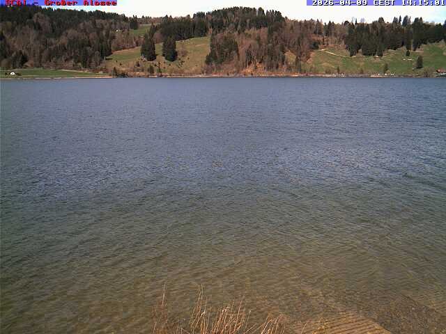 Archiv Foto Webcam Großer Alpsee bei Immenstadt