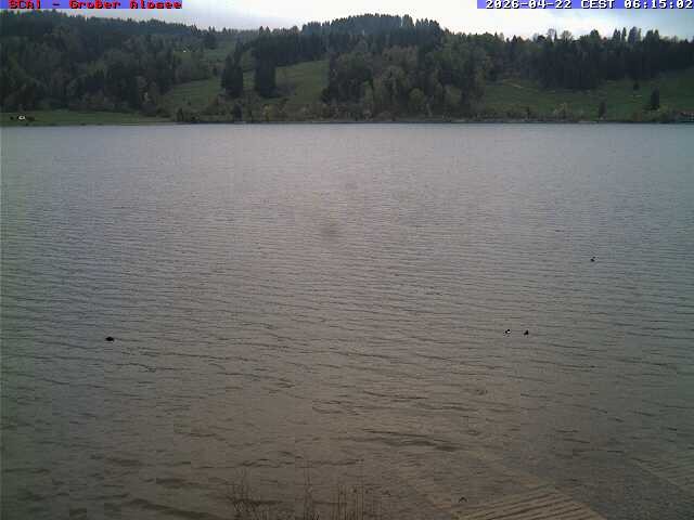 Archiv Foto Webcam Großer Alpsee bei Immenstadt