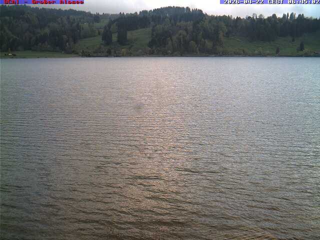 Archiv Foto Webcam Großer Alpsee bei Immenstadt