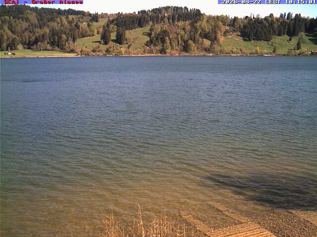 Archiv Foto Webcam Großer Alpsee bei Immenstadt