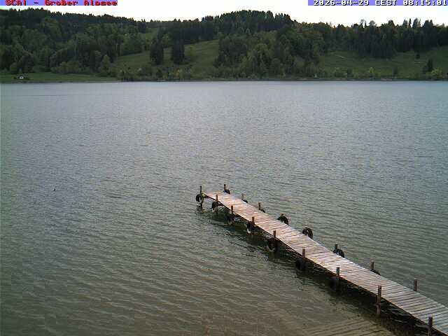 Archiv Foto Webcam Großer Alpsee bei Immenstadt