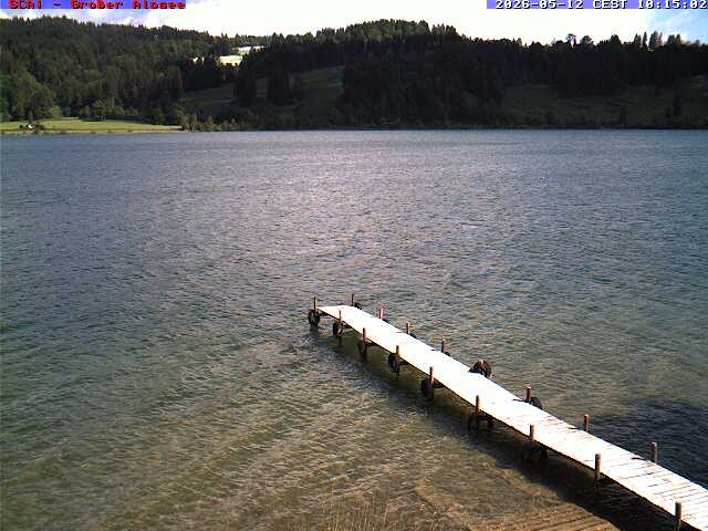 Archiv Foto Webcam Großer Alpsee bei Immenstadt
