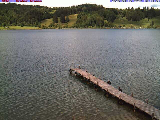 Archived image Webcam Lake "Großer Alpsee"