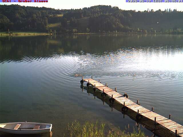 Archiv Foto Webcam Großer Alpsee bei Immenstadt