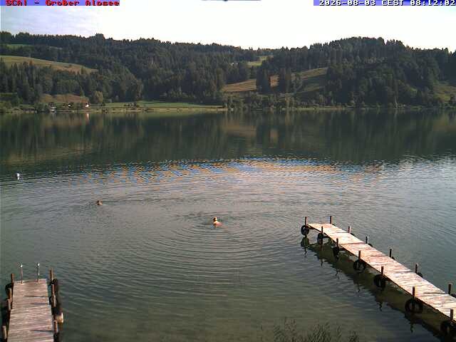 Archiv Foto Webcam Großer Alpsee bei Immenstadt