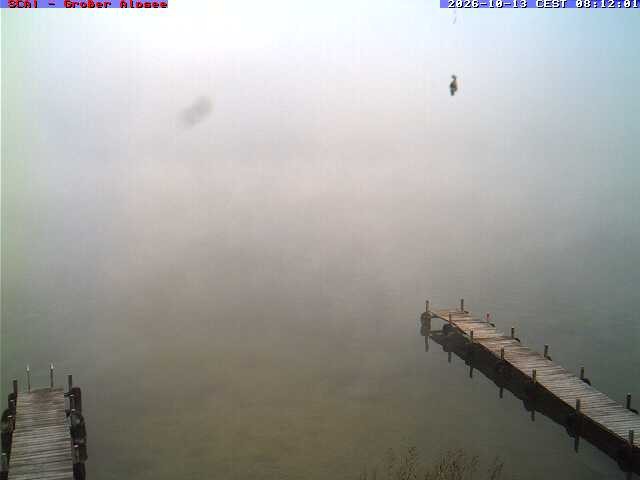 Archiv Foto Webcam Großer Alpsee bei Immenstadt