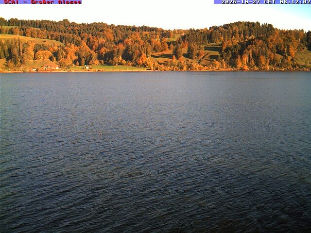 Archiv Foto Webcam Großer Alpsee bei Immenstadt