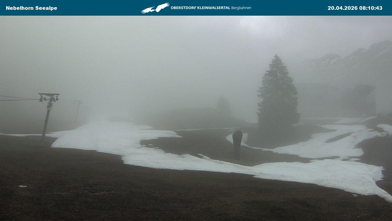 Archived image Webcam Cable car Nebelhorn station Seealpe