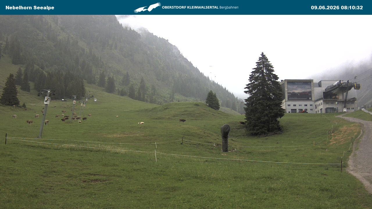 Archiv Foto Webcam Nebelhornbahn Mittelstation