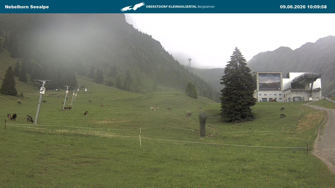 Archiv Foto Webcam Nebelhornbahn Mittelstation
