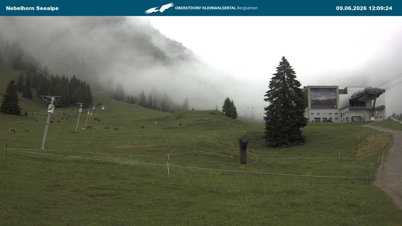 Archiv Foto Webcam Nebelhornbahn Mittelstation