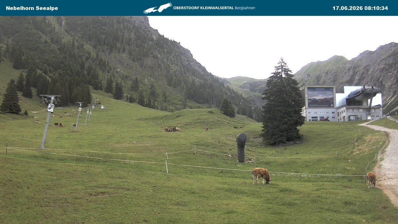 Archiv Foto Webcam Nebelhornbahn Mittelstation