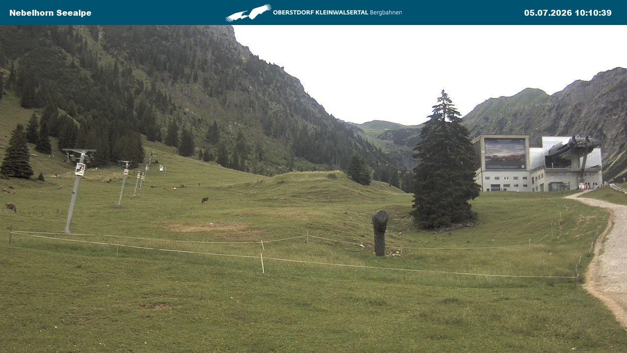 Archiv Foto Webcam Nebelhornbahn Mittelstation