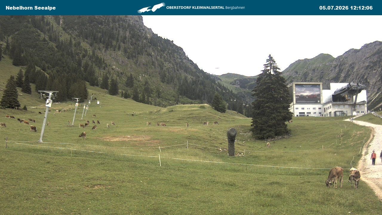 Archiv Foto Webcam Nebelhornbahn Mittelstation
