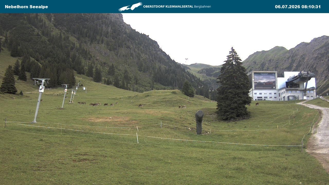 Archiv Foto Webcam Nebelhornbahn Mittelstation