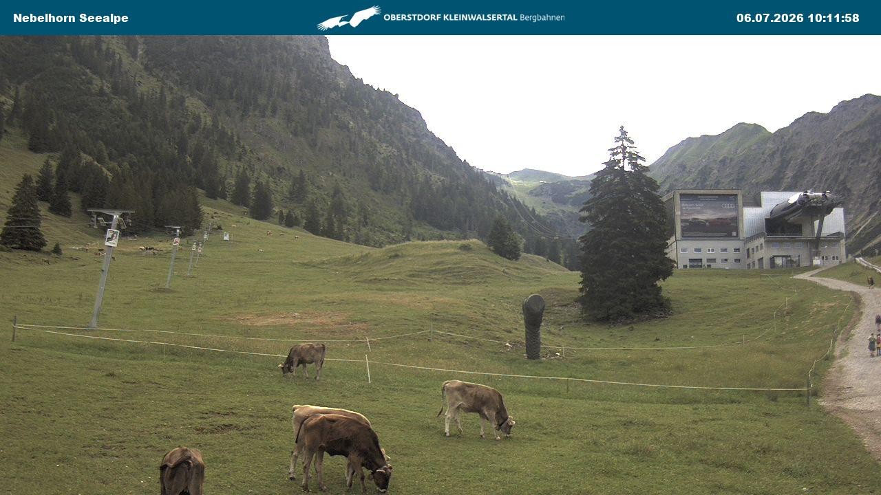 Archiv Foto Webcam Nebelhornbahn Mittelstation