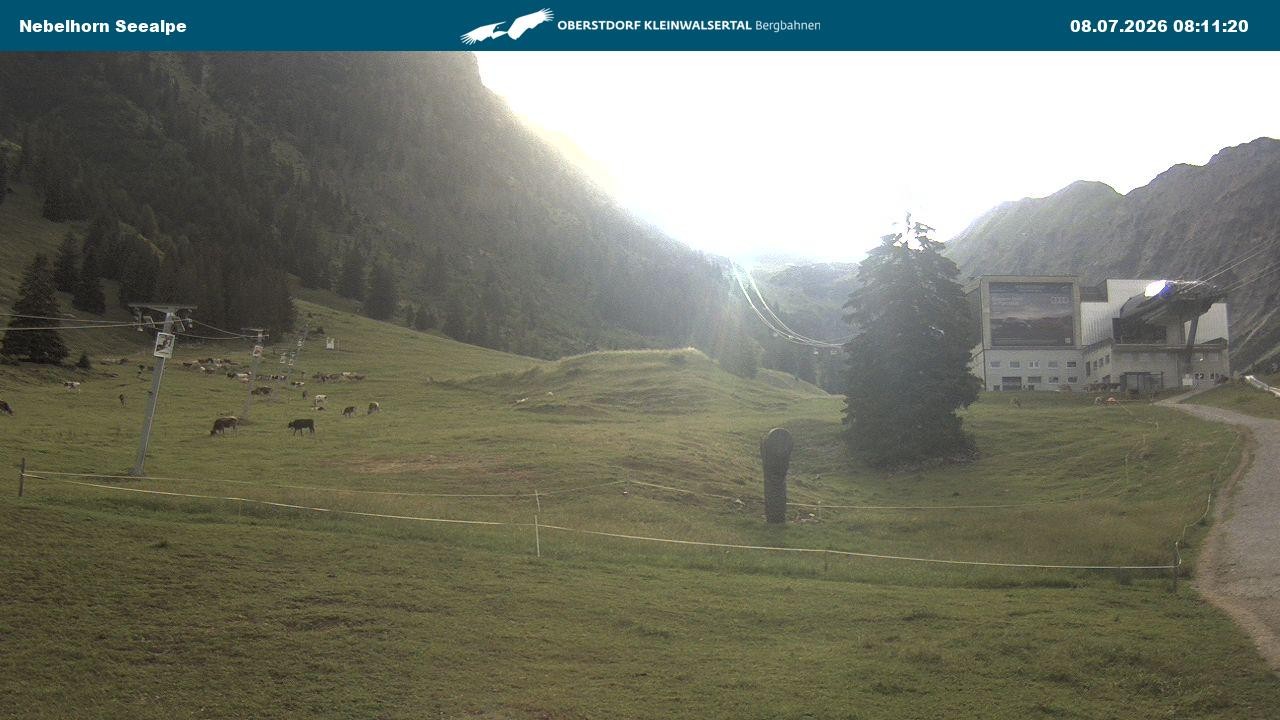 Archiv Foto Webcam Nebelhornbahn Mittelstation