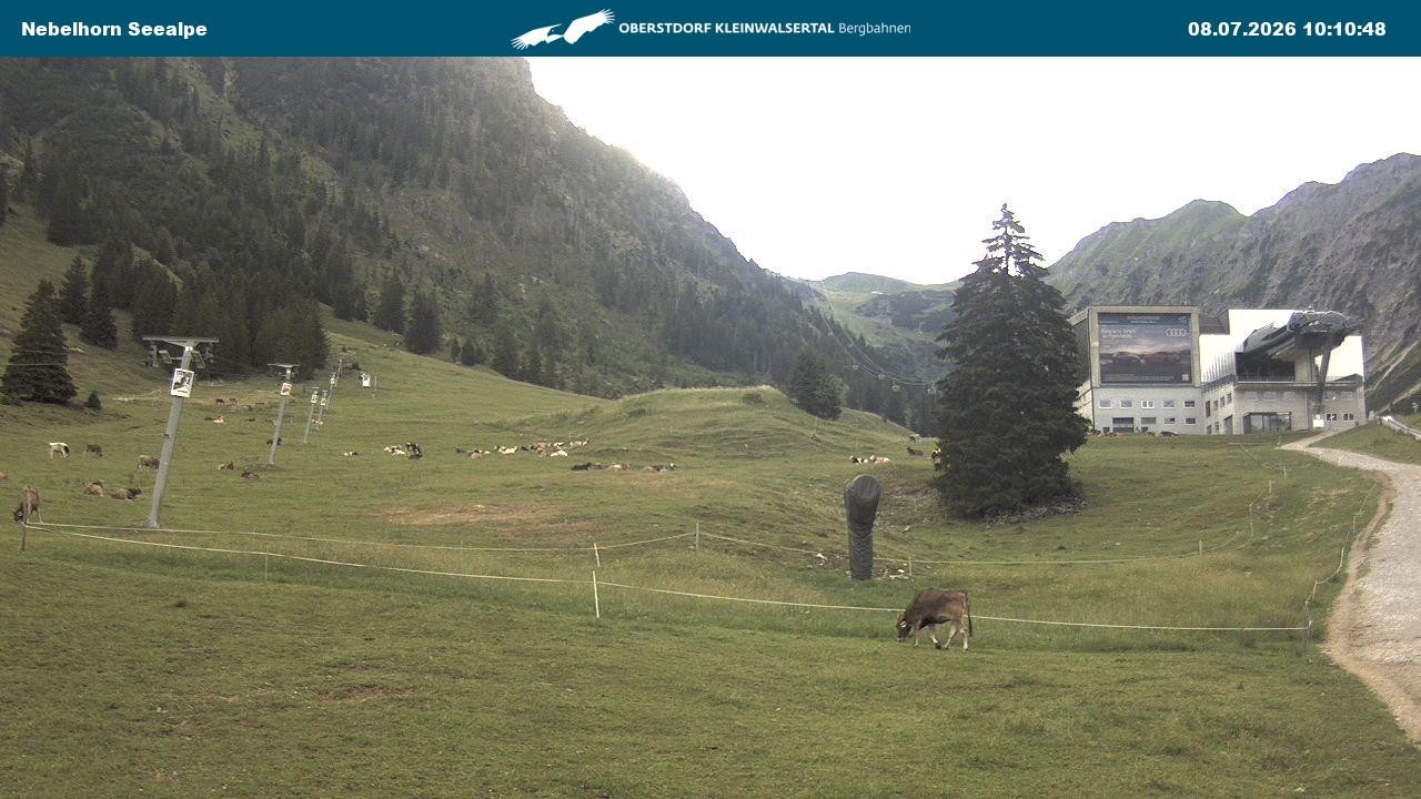 Archiv Foto Webcam Nebelhornbahn Mittelstation