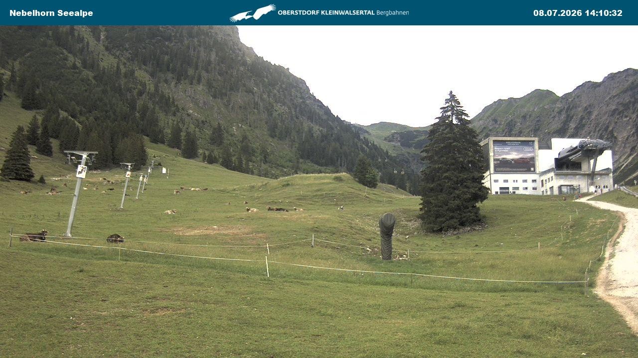 Archiv Foto Webcam Nebelhornbahn Mittelstation