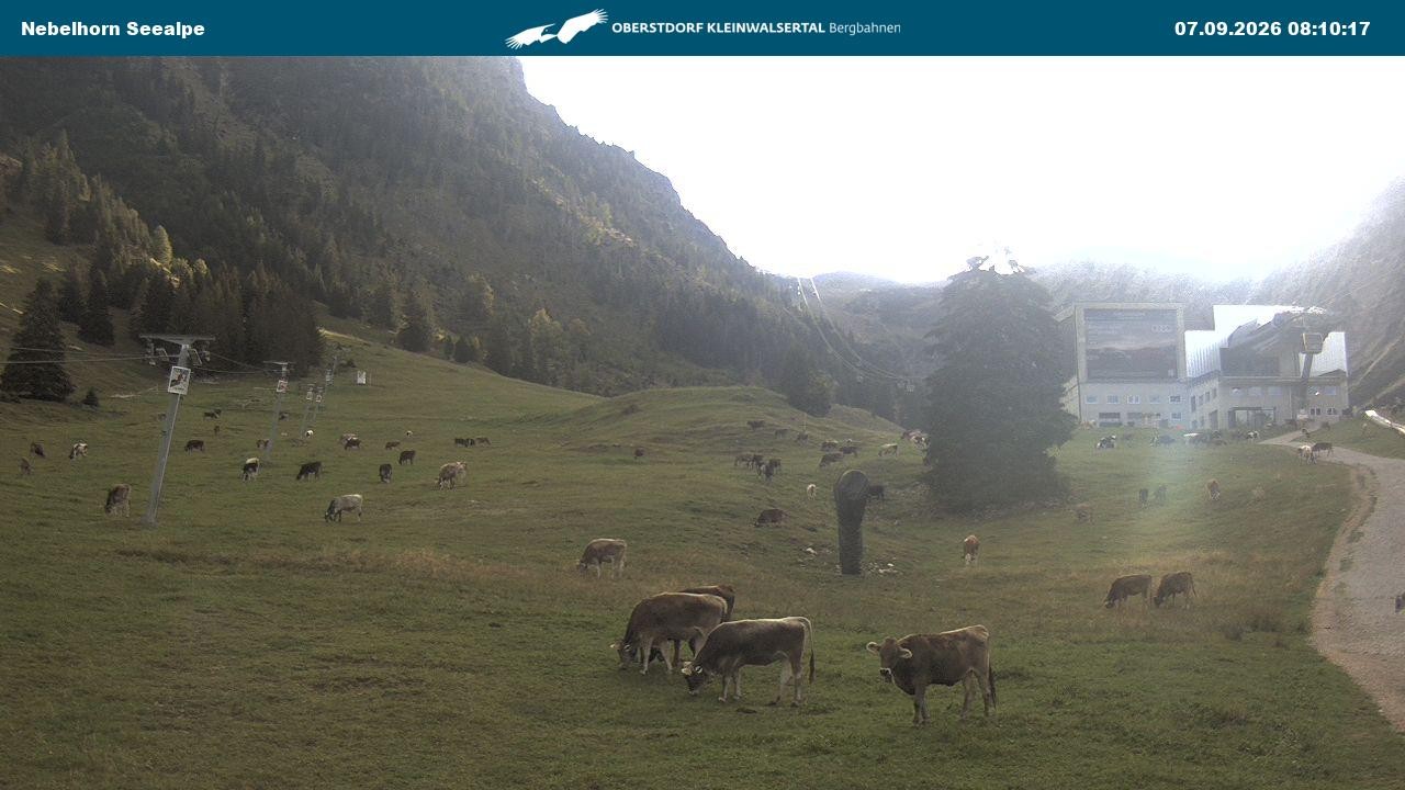 Archived image Webcam Cable car Nebelhorn station Seealpe