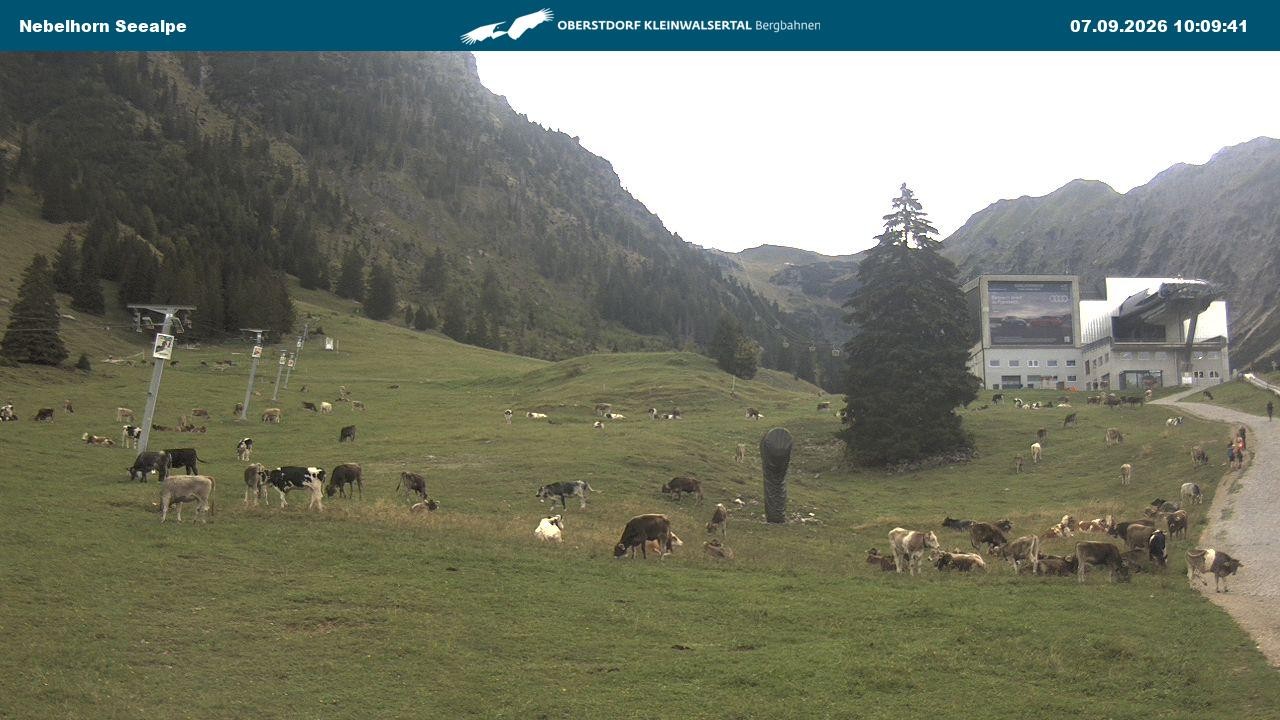 Archived image Webcam Cable car Nebelhorn station Seealpe